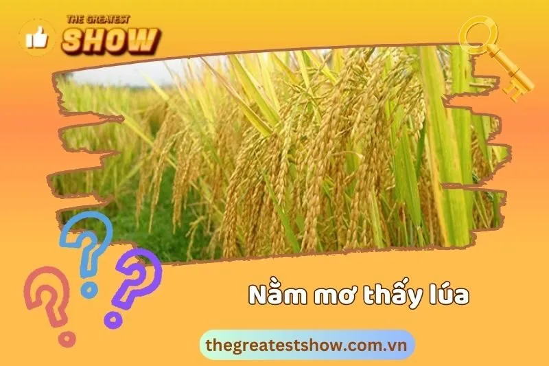 Các điềm báo khi nằm mơ thấy lúa gặp khó khăn (lúa bị cháy, héo khô, sâu ăn)