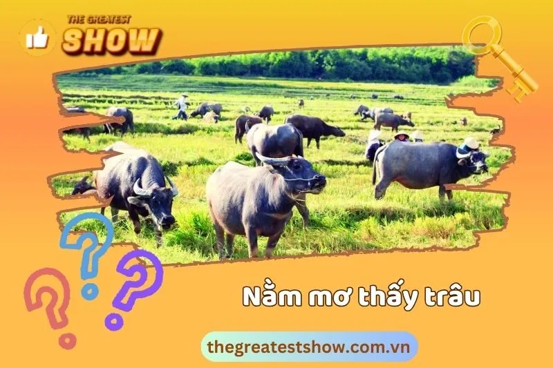 Điềm báo khi nằm mơ thấy trâu đen, trâu vàng và các loại trâu khác