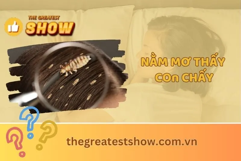 Giải Mã Nằm Mơ Thấy Con Chấy: Ý Nghĩa Và Điềm Báo Tốt Xấu 2025