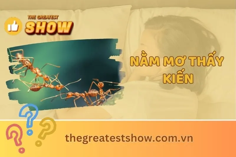 Giải mã nằm mơ thấy kiến: Ý nghĩa giấc mơ và con số may mắn 2025