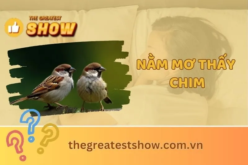Giải mã ý nghĩa nằm mơ thấy chim 2025: Điềm báo từ chim phượng hoàng, cú và bồ câu
