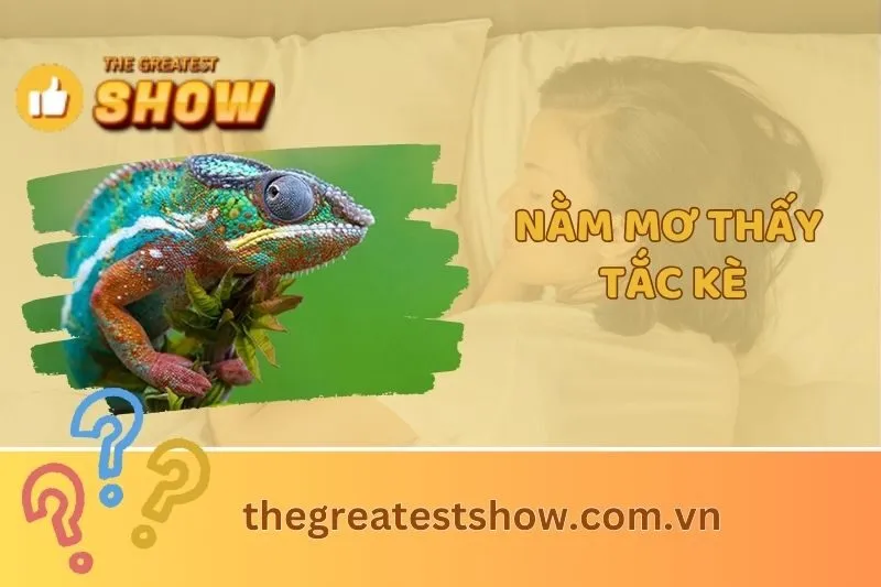 Giải mã ý nghĩa nằm mơ thấy tắc kè 2025: Điềm may mắn hay cảnh báo?