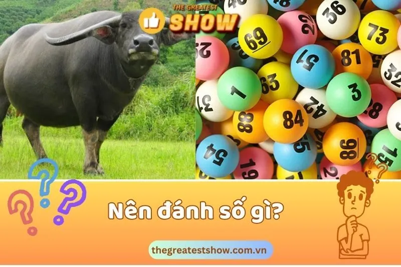 Gợi ý các con số may mắn liên quan đến giấc mơ thấy trâu