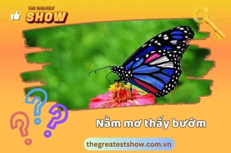 Khám phá ý nghĩa giấc mơ khi nằm mơ thấy bướm và các điềm báo 2025