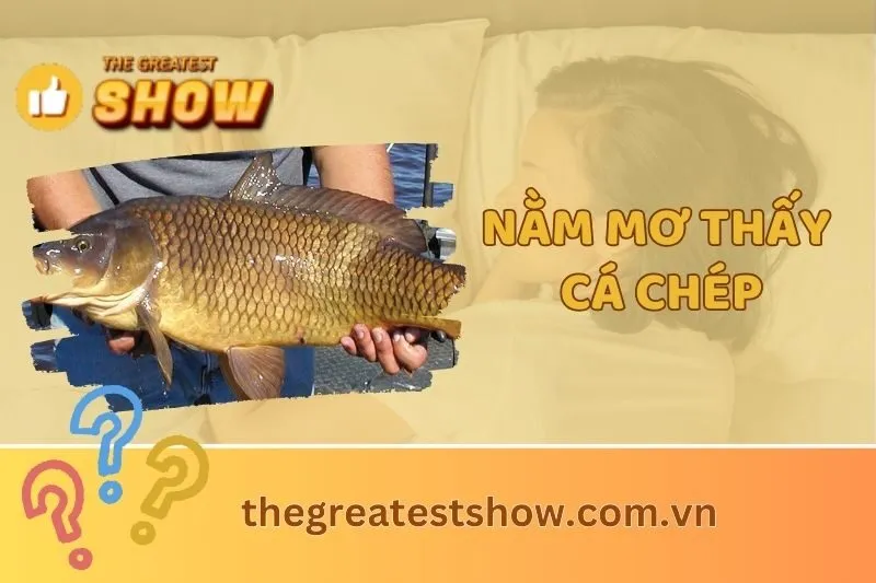 Nằm mơ thấy cá chép: Giải mã điềm báo từ cá chép vàng, đen và hóa rồng 2025