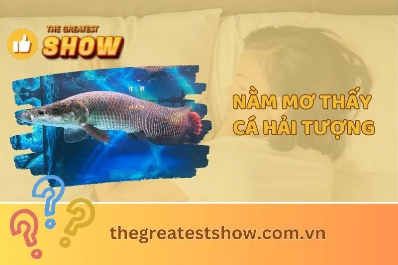 Nằm Mơ Thấy Cá Hải Tượng: Ý Nghĩa Và Con Số May Mắn 2025