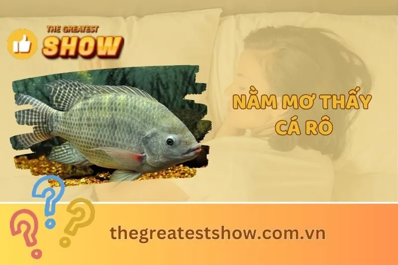 Nằm Mơ Thấy Cá Rô Có Ý Nghĩa Gì? Giải Mã Điềm Báo và Con Số 2025