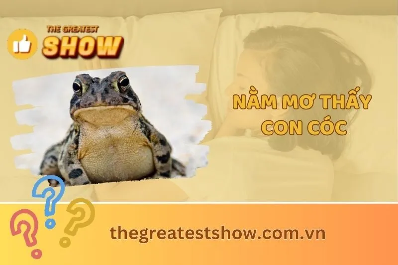 Nằm mơ thấy con cóc có ý nghĩa gì? Giải mã và các điềm báo đặc biệt 2025