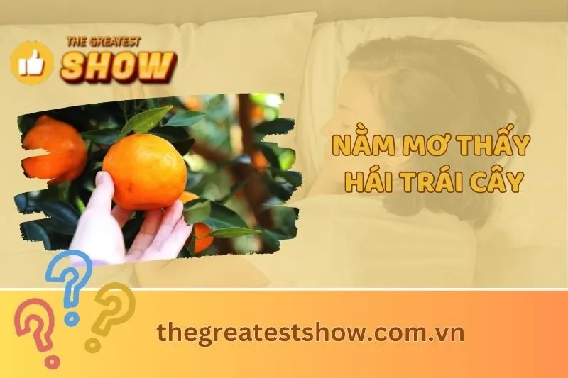 Nằm mơ thấy hái trái cây: Giải mã ý nghĩa và điềm báo may mắn 2025