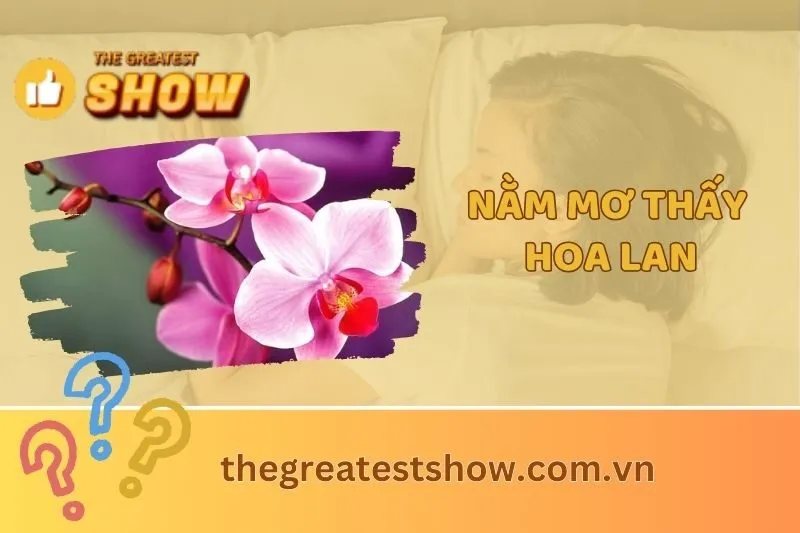 Nằm mơ thấy hoa lan: Giải mã màu sắc, điềm báo và con số may mắn 2025