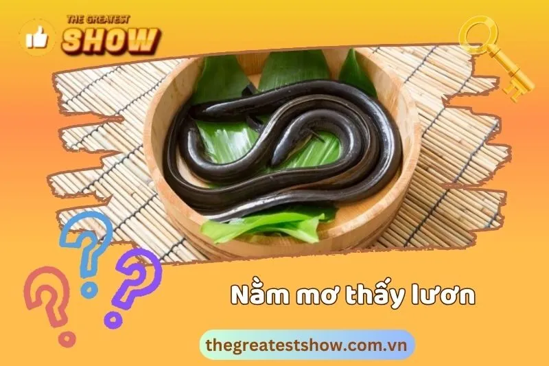 Nằm mơ thấy lươn: Giải mã ý nghĩa và điềm báo tốt xấu từ giấc mơ 2025