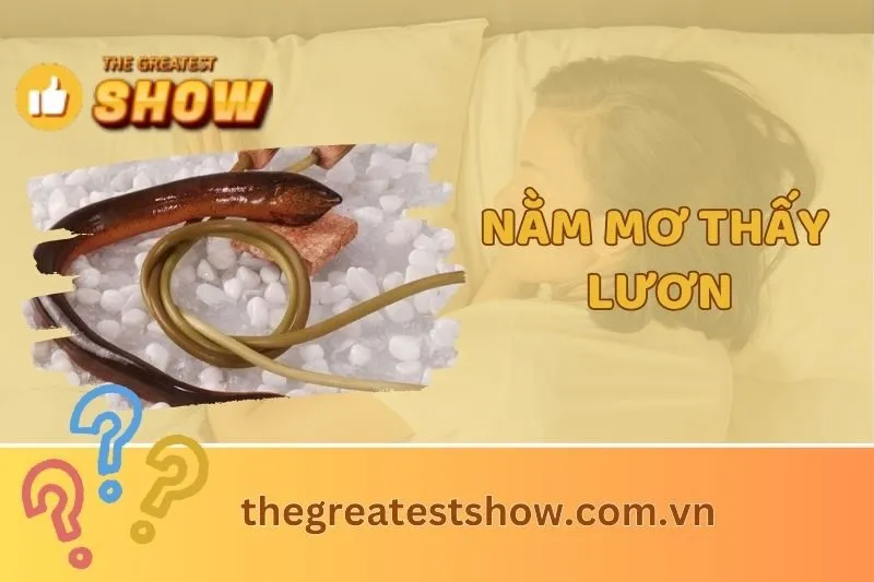Nằm mơ thấy lươn: Giải mã ý nghĩa và điềm báo tốt xấu từ giấc mơ 2025