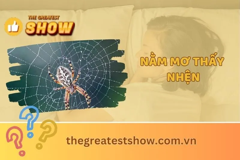 Nằm mơ thấy nhện là điềm báo gì? Giải mã ý nghĩa từng giấc mơ 2025