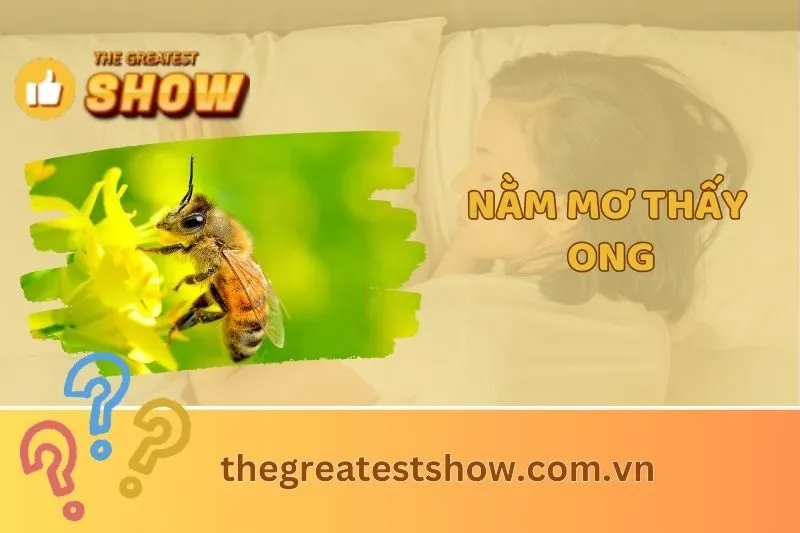 Nằm mơ thấy ong: Giải mã ý nghĩa và những điềm báo cuộc sống 2025