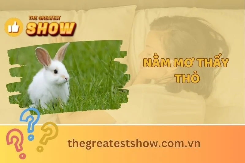 Nằm mơ thấy thỏ: Ý nghĩa, điềm báo và con số may mắn 2025