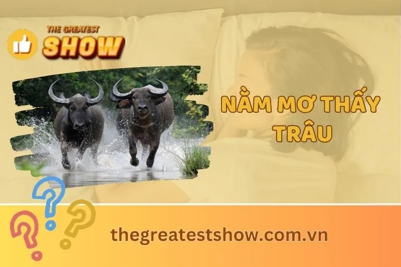 Nằm mơ thấy trâu 2025: Ý nghĩa, điềm báo và con số may mắn