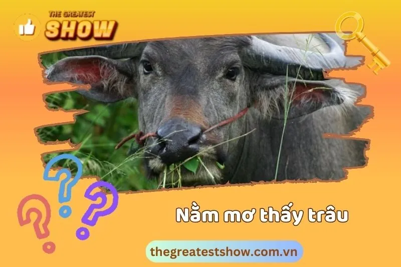 Nằm mơ thấy trâu cày ruộng và ý nghĩa cho công việc