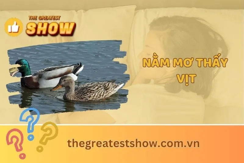 Nằm Mơ Thấy Vịt Có Ý Nghĩa Gì? Giải Mã Điềm Báo Giấc Mơ Vịt 2025