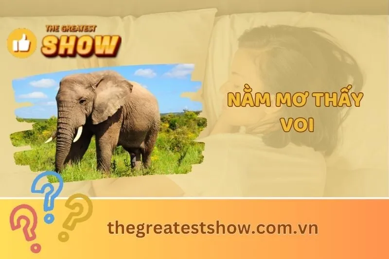 Nằm mơ thấy voi có ý nghĩa gì? Khám phá điềm báo và con số may mắn 2025