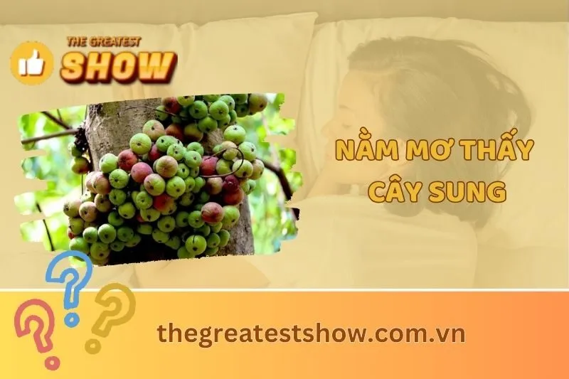 Giải Mã Giấc Mơ Nằm Mơ Thấy Cây Sung Và Điềm Báo Chi Tiết 2025