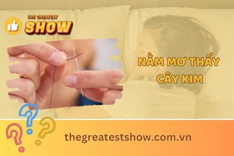 Nằm mơ thấy cây kim: Giải mã ý nghĩa và điềm báo quan trọng 2025
