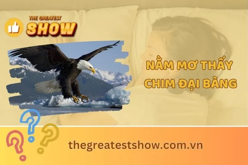 Nằm mơ thấy chim đại bàng: Ý nghĩa, điềm báo và con số may mắn 2025