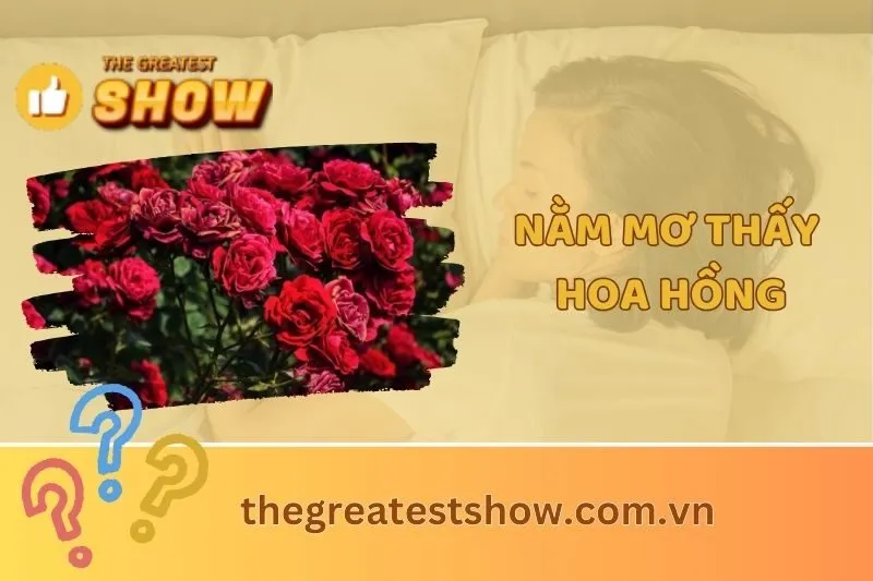 Nằm mơ thấy hoa hồng: Giải mã giấc mơ và ý nghĩa chi tiết 2025
