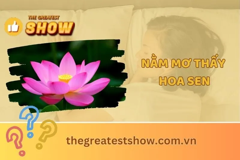 Nằm mơ thấy hoa sen: Giải mã điềm báo và ý nghĩa tâm linh 2025