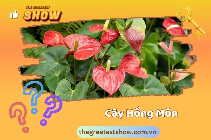 Cây Hồng Môn