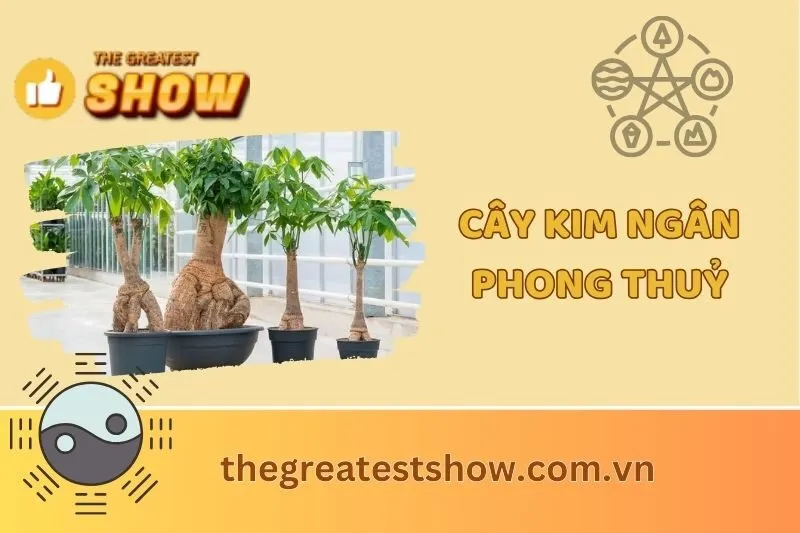 Cây Kim Ngân Phong Thuỷ: Ý Nghĩa và Cách Đặt Đúng Chuẩn 2025