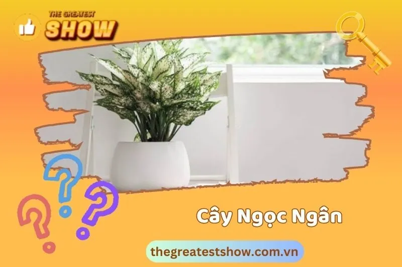 Cây Ngọc Ngân