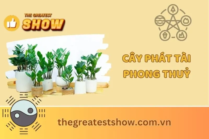 Cây phát tài phong thủy: Ý nghĩa, cách trồng và chăm sóc