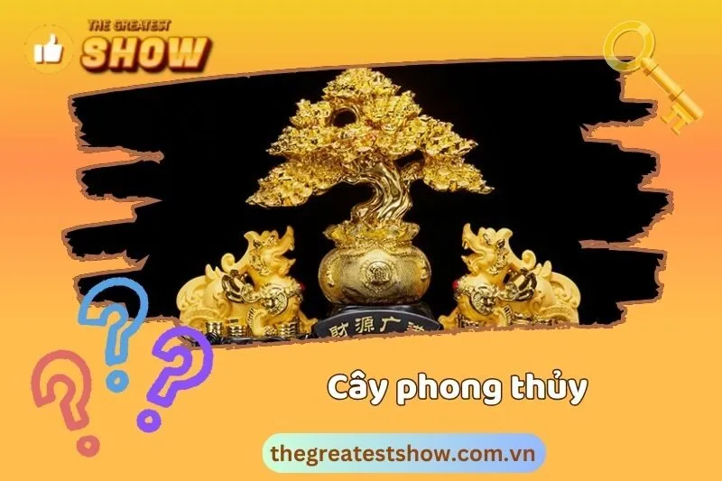 Cây phong thủy