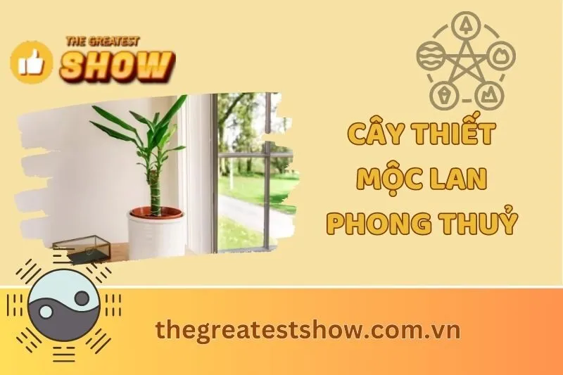 Cây Thiết Mộc Lan Phong Thuỷ: Ý Nghĩa, Lợi Ích Và Cách Chăm Sóc