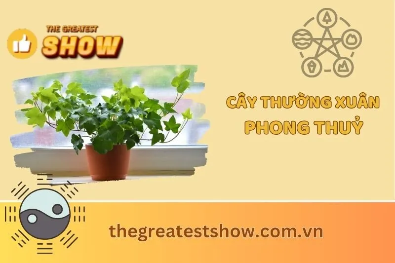 Cây thường xuân phong thuỷ: Ý nghĩa, cách trồng và chăm sóc