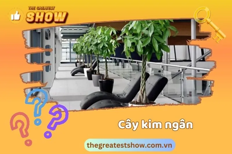 Hướng dẫn cách chăm sóc cây kim ngân