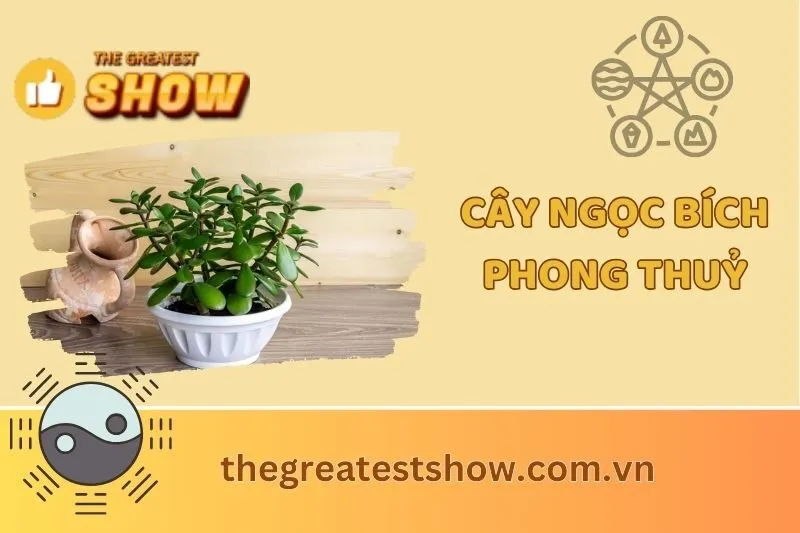 Khám Phá Ý Nghĩa Cây Ngọc Bích Phong Thuỷ Và Cách Chăm Sóc