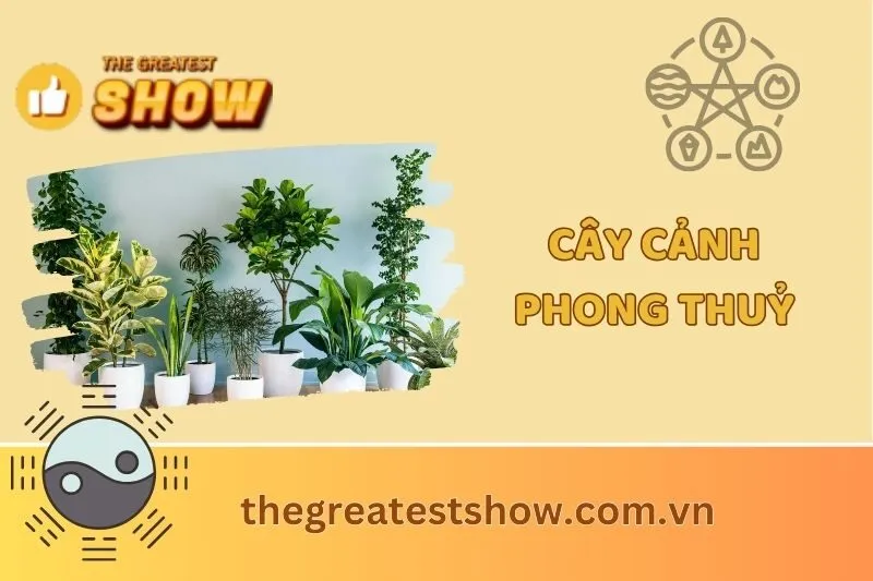 Top Các Loại Cây Cảnh Phong Thuỷ Mang Tài Lộc và May Mắn