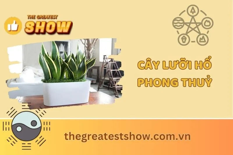 Ý Nghĩa Cây Lưỡi Hổ Phong Thuỷ: Hợp Mệnh, Lợi Ích, Và Cách Trồng 2025