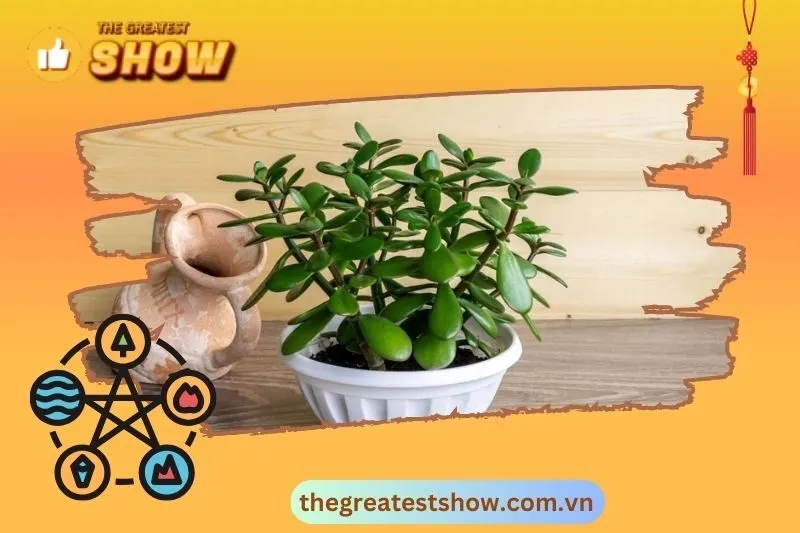 Ý nghĩa phong thủy của cây ngọc bích