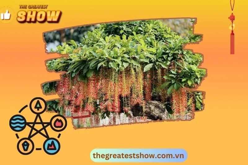 Các loại cây lộc vừng phổ biến