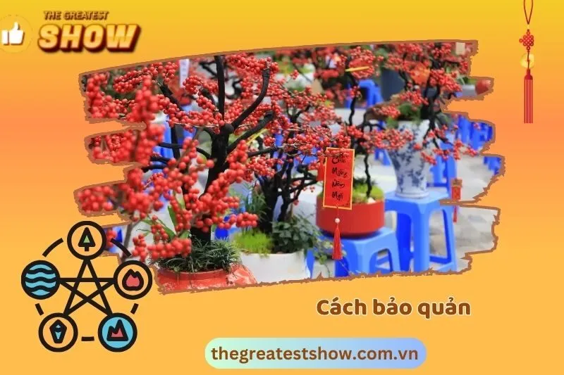 Cách Bảo Quản Hoa Đào Đông Đỏ