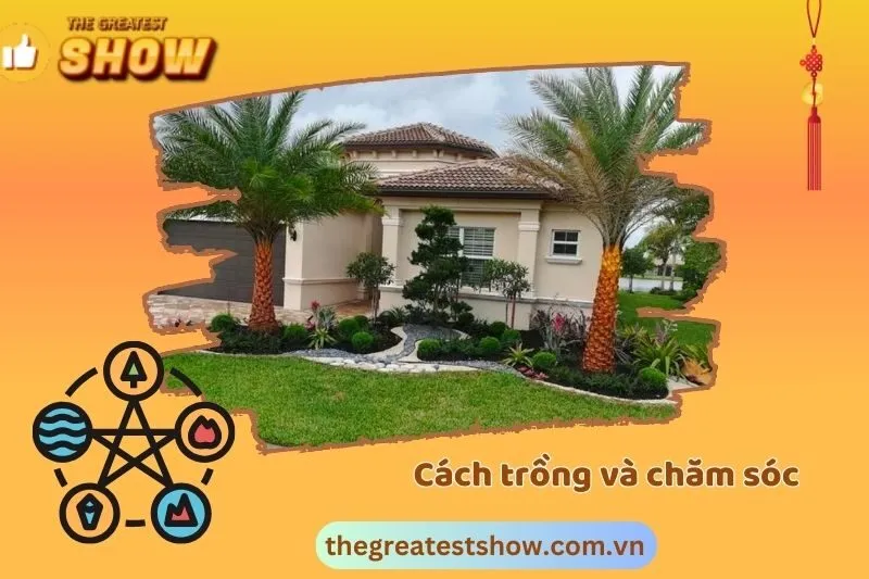 Cách trồng cây cọ cảnh tại nhà