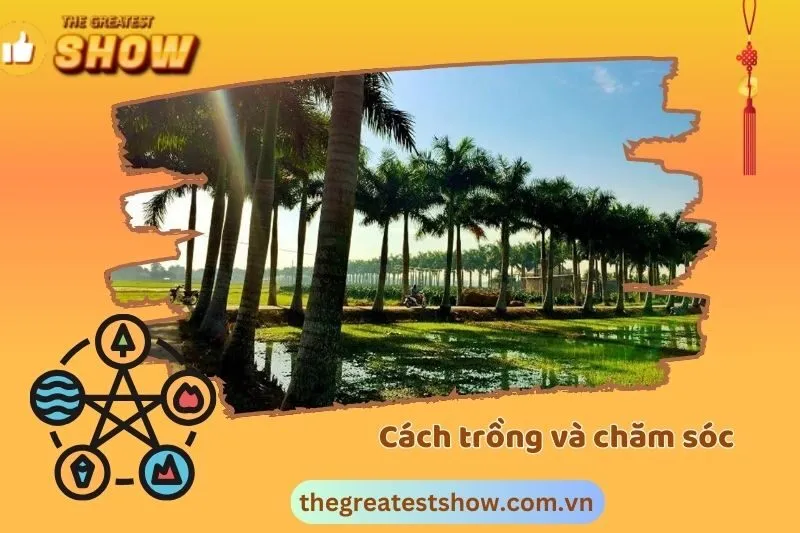 Cách Trồng và Chăm Sóc Cây Cau Vua