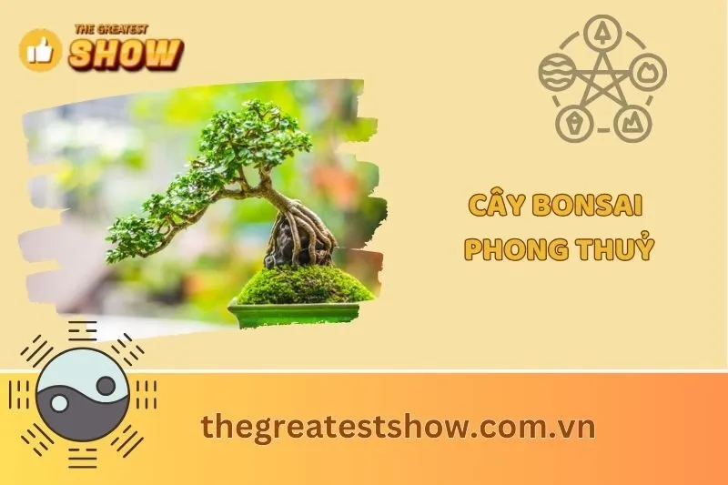 Cây bonsai phong thủy 2025: Ý nghĩa và dáng cây chuẩn phong thủy