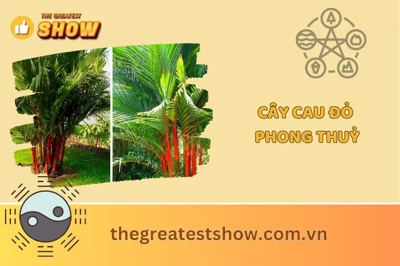 Cây Cau Đỏ Phong Thủy 2025: Ý Nghĩa, Đặc Điểm & Cách Trồng
