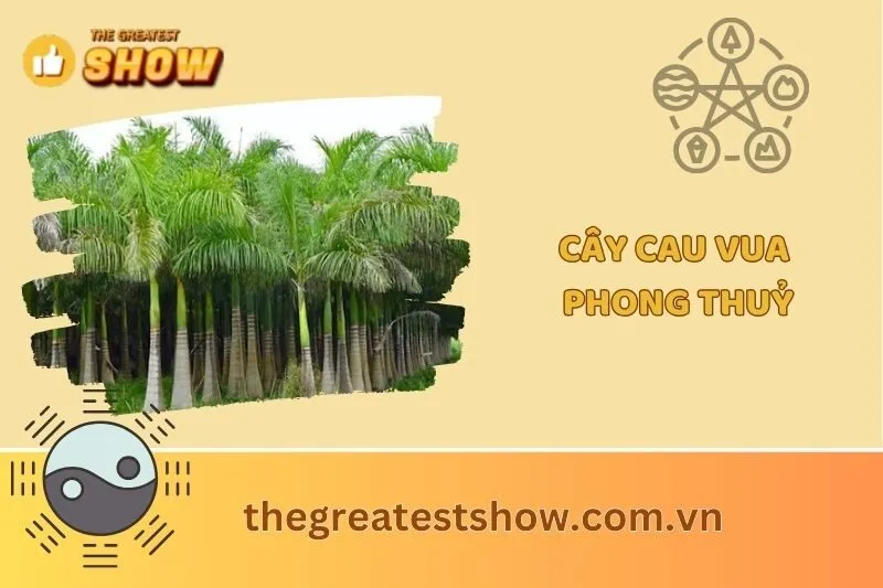Cây Cau Vua Phong Thủy 2025: Ý Nghĩa và Tác Dụng Quan Trọng