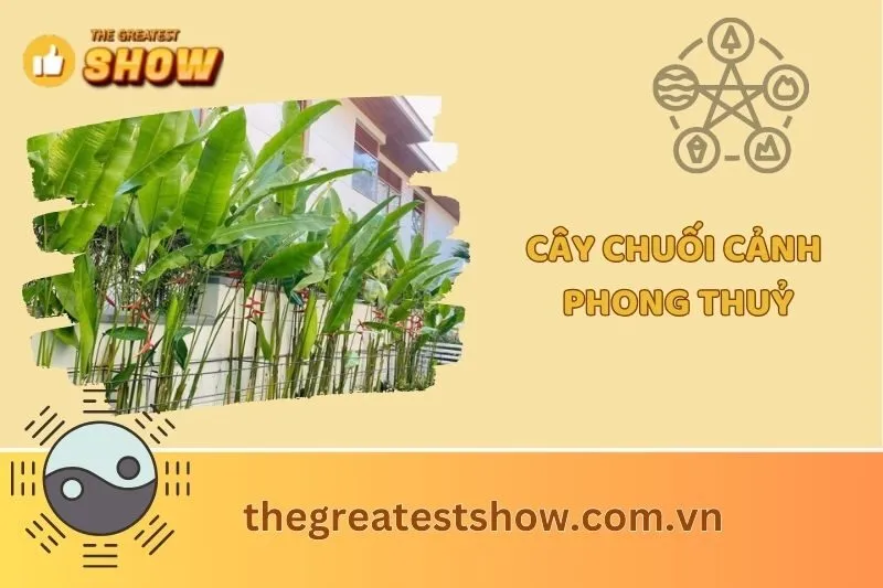 Cây Chuối Cảnh Phong Thủy 2025: Ý Nghĩa, Cách Trồng, Chăm Sóc