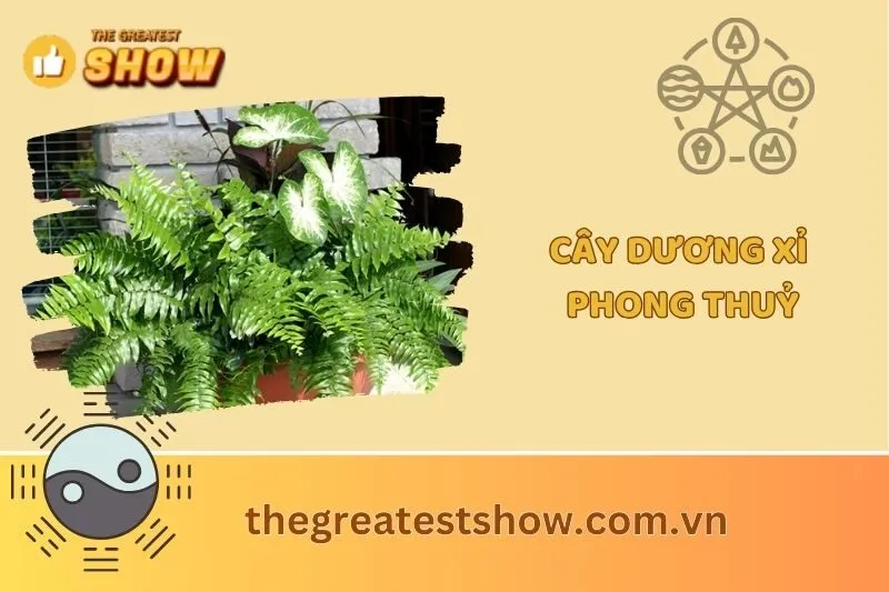 Cây dương xỉ phong thuỷ 2025: Ý nghĩa, cách trồng và chăm sóc
