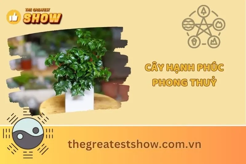 Cây hạnh phúc phong thuỷ 2025: Ý nghĩa, cách trồng và chăm sóc